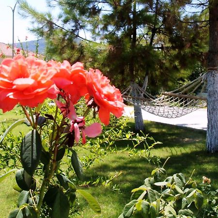 Gurkan Apart Hotel Dalyan Kültér fotó