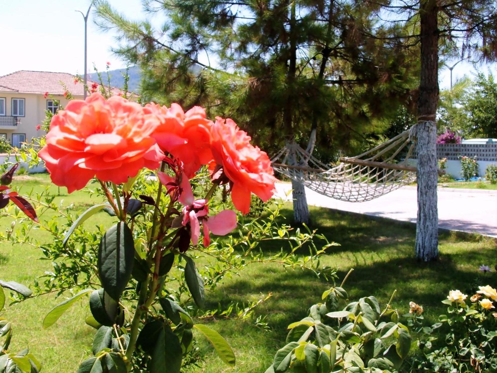 Gurkan Apart Hotel Dalyan Kültér fotó
