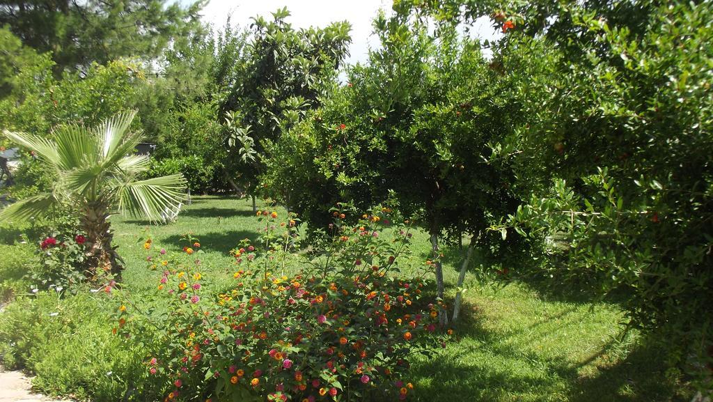 Gurkan Apart Hotel Dalyan Kültér fotó