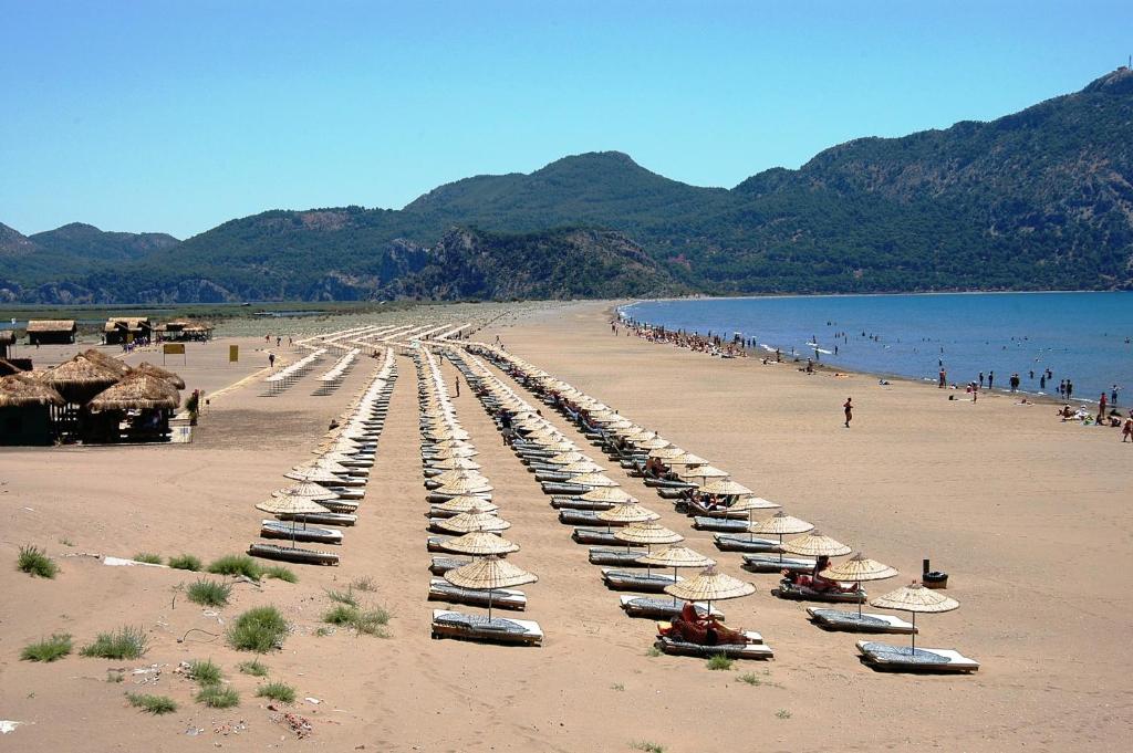 Gurkan Apart Hotel Dalyan Kültér fotó